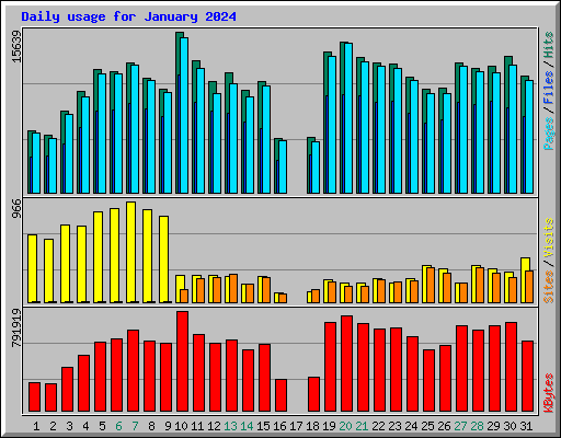Daily usage for January 2024