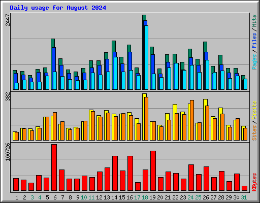 Daily usage for August 2024