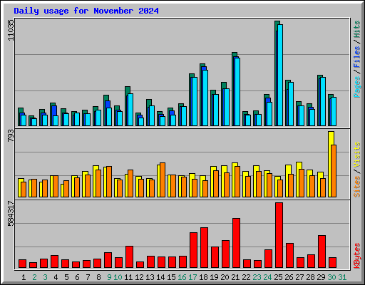 Daily usage for November 2024