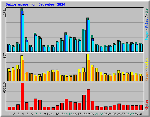 Daily usage for December 2024