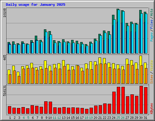 Daily usage for January 2025