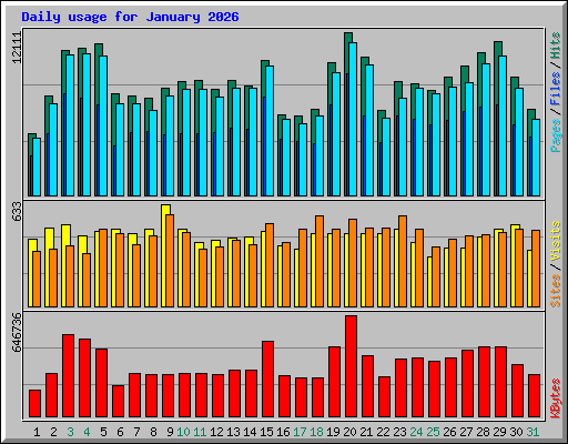 Daily usage for January 2026