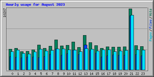 Hourly usage for August 2023