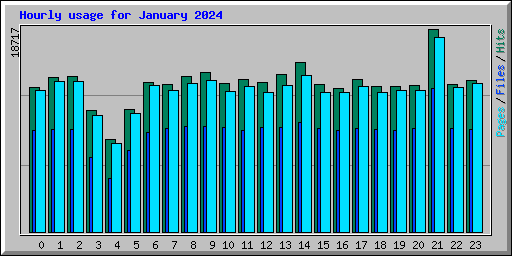 Hourly usage for January 2024