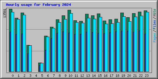 Hourly usage for February 2024