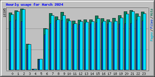 Hourly usage for March 2024