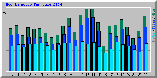 Hourly usage for July 2024