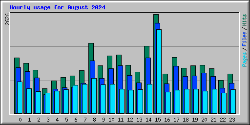 Hourly usage for August 2024