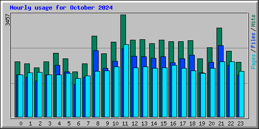Hourly usage for October 2024