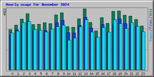 Hourly usage for November 2024