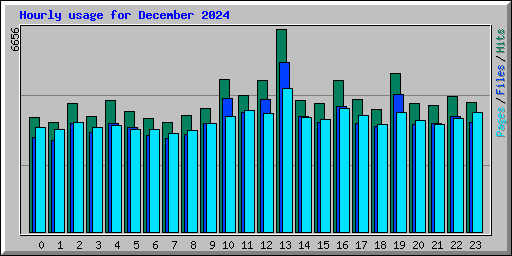 Hourly usage for December 2024