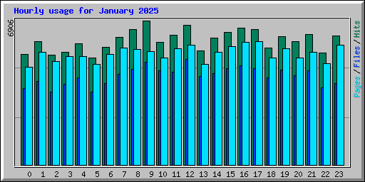 Hourly usage for January 2025