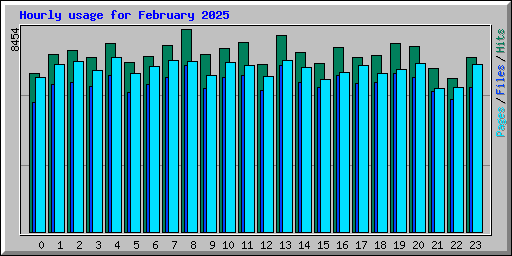 Hourly usage for February 2025
