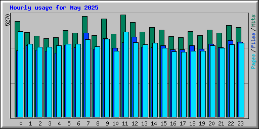 Hourly usage for May 2025