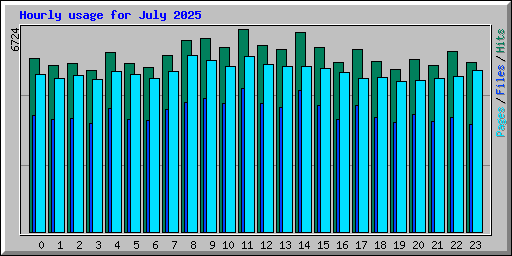 Hourly usage for July 2025