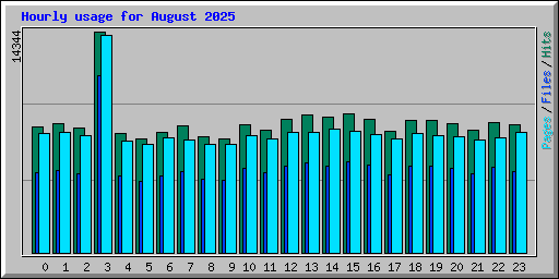 Hourly usage for August 2025