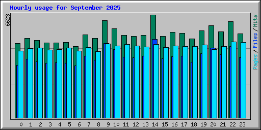 Hourly usage for September 2025