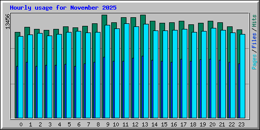 Hourly usage for November 2025