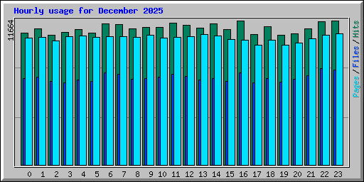 Hourly usage for December 2025