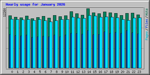 Hourly usage for January 2026