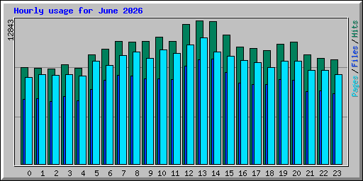 Hourly usage for June 2026