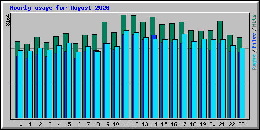 Hourly usage for August 2026